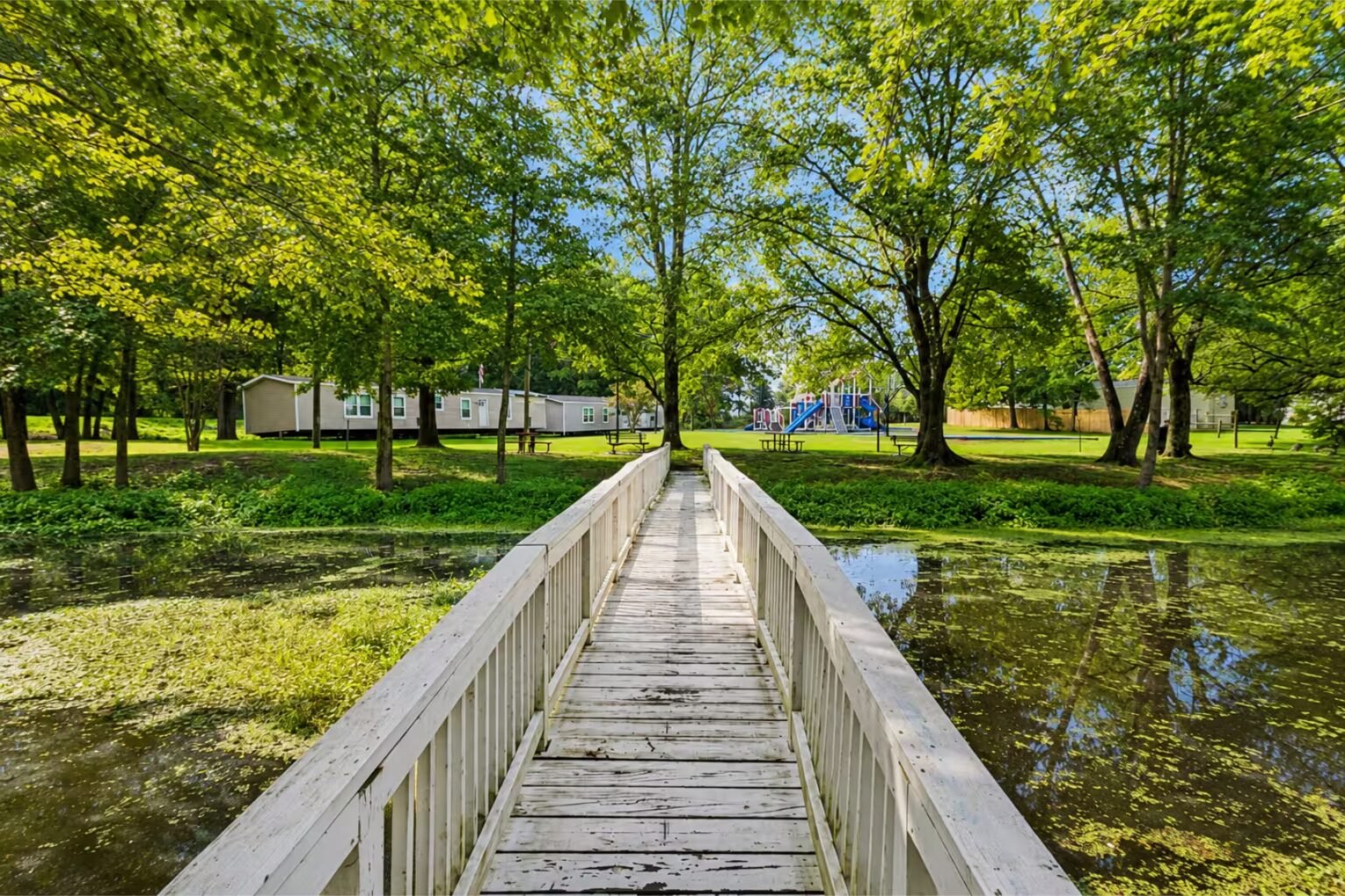 Weathered wooden boardwalk stretching across a green swampy marsh with trees and still water on both sides.
