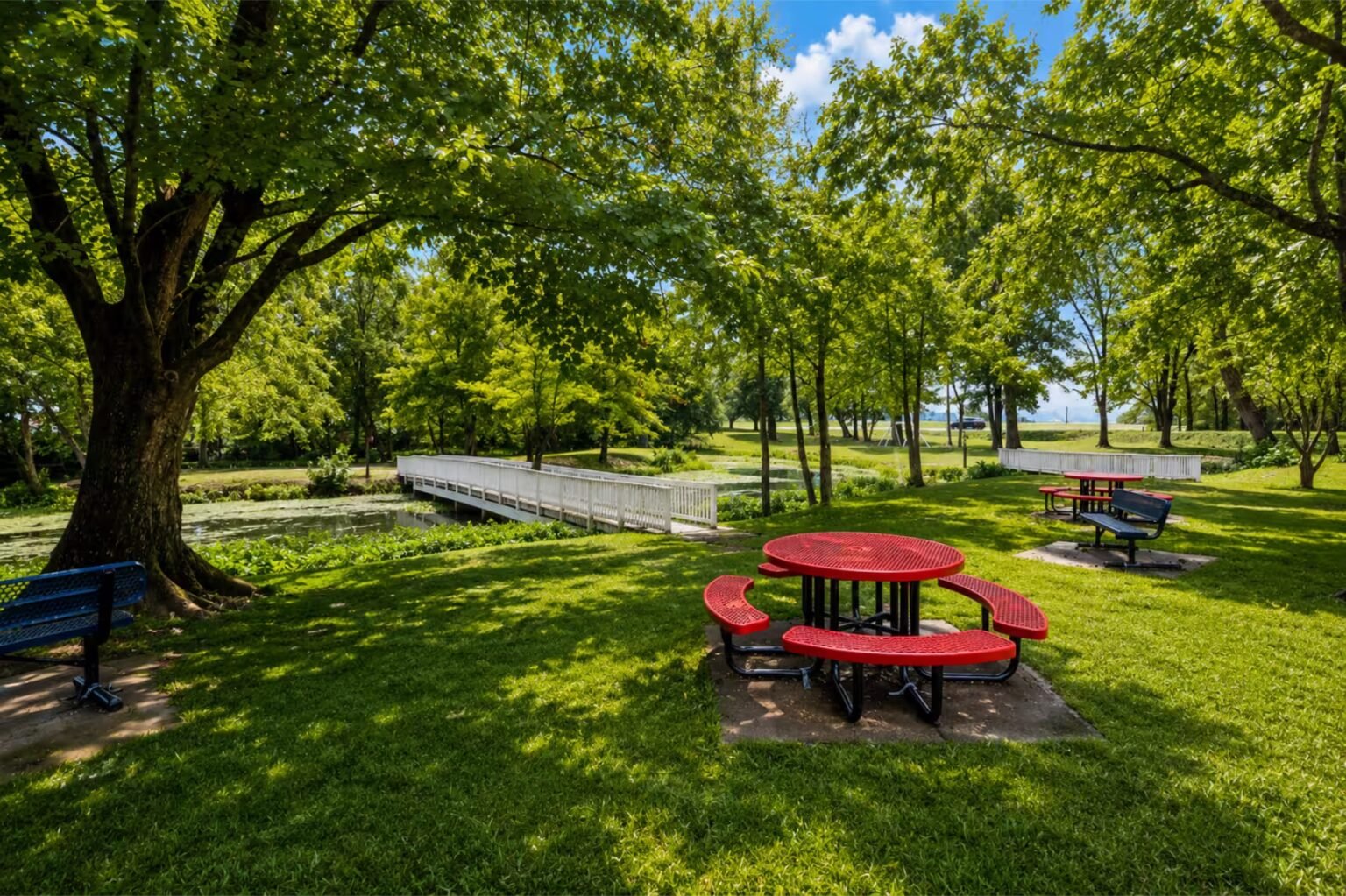 Picnic tables on green lawn beneath large shade trees with a walkway and benches nearby.