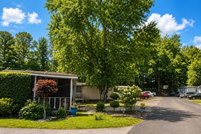 House surrounded by tall green trees on a sunny day with clear blue sky and grassy yard.